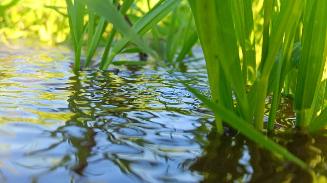 VID_20251219_203719_140