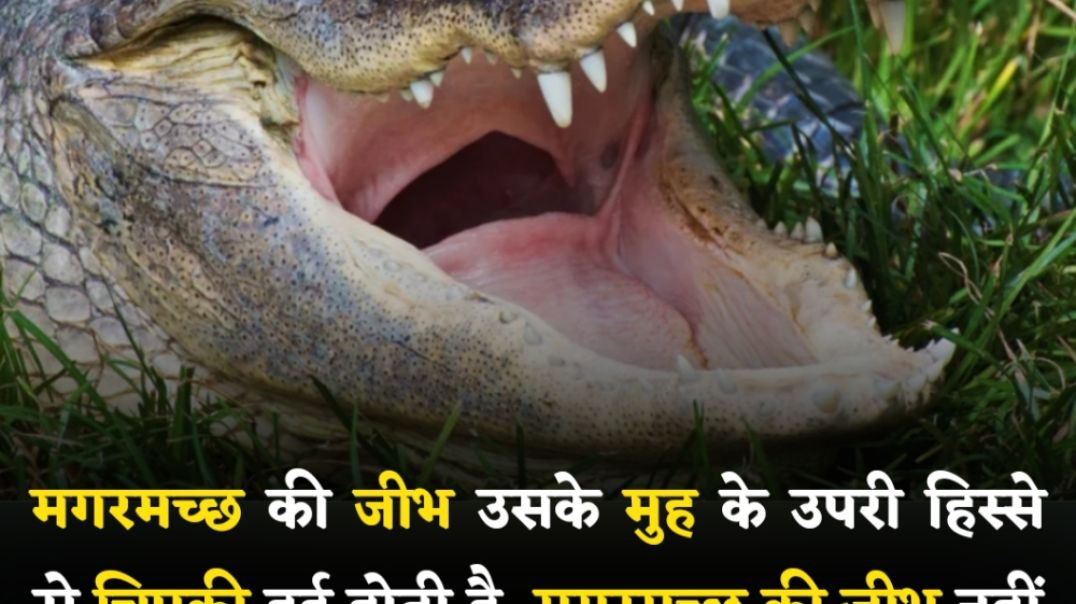 ⁣3 aise fact jo kisi ne nhi socha hoga 😱😱 || #facts