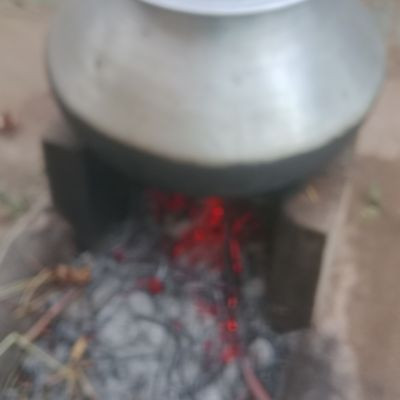 pkvlogs007 pkvlogs007