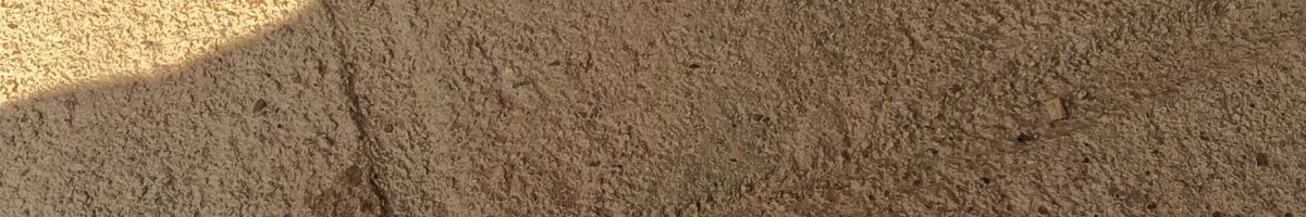 rambhajanrajvlog rambhajanrajvlog