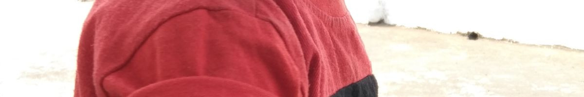 109714585525942102174 