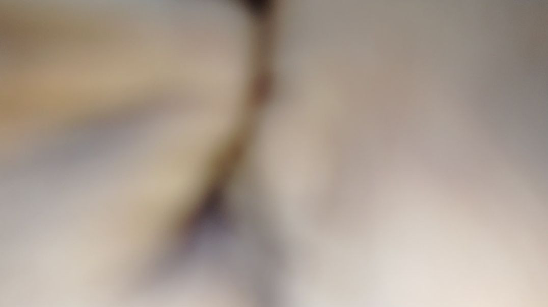 ⁣XXL XXL XXL XXL FREESTYLE 2024💕XXL 2025 |Xxwd5000xa |XXL XXL XXL XXL XXL FREESTYLES