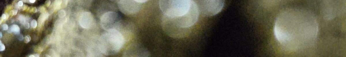 100685277439053180688 