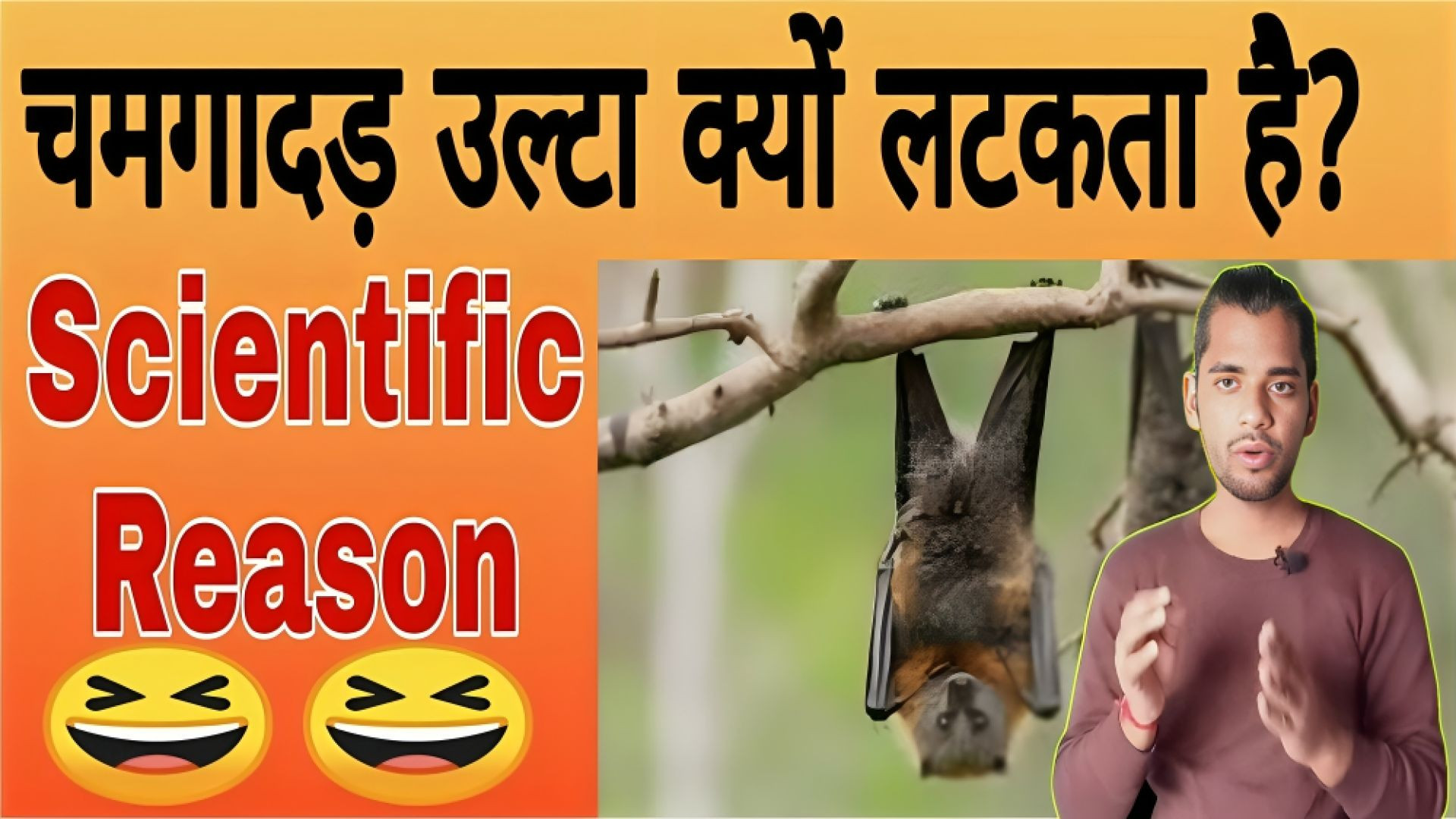 ⁣चमदागढ़ उल्टा क्यों लटकते है | Chamdagad/Bats ulta kyo latakte hai | AC Prashant