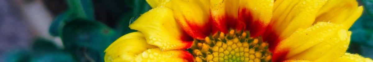 106169025283079737323 