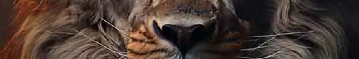 104254869377305321639 