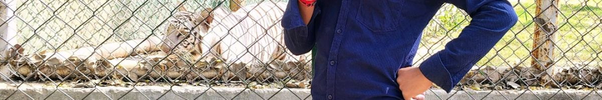 110649728672815142634 