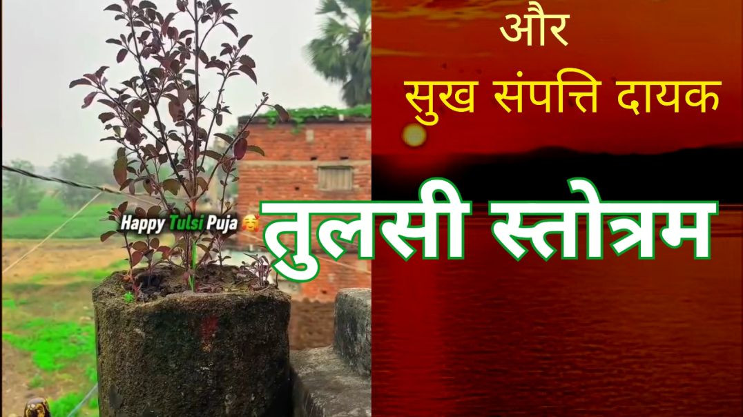 ⁣तुलसी स्तोत्र ।Tulsi stotra
