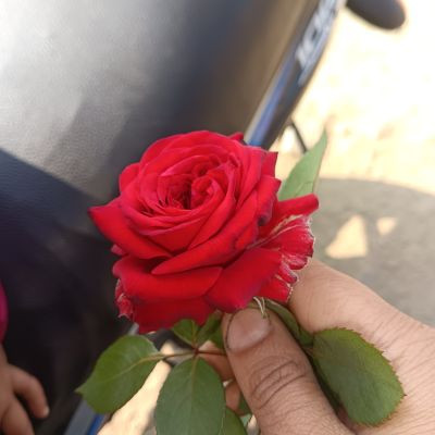 111807391994114531517 