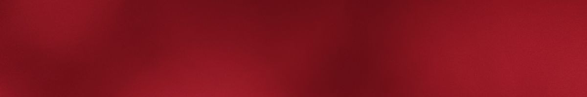 AishaanyaSarthakVlogs