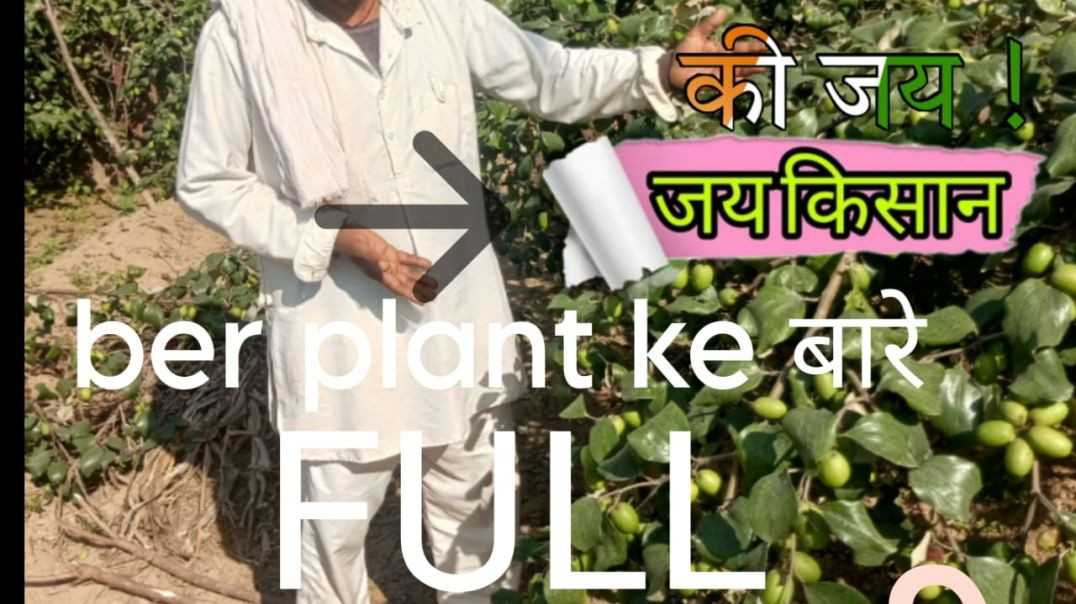 ⁣Bero ki phul jankari .. dekhiye