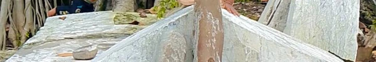 110708226346232800699 