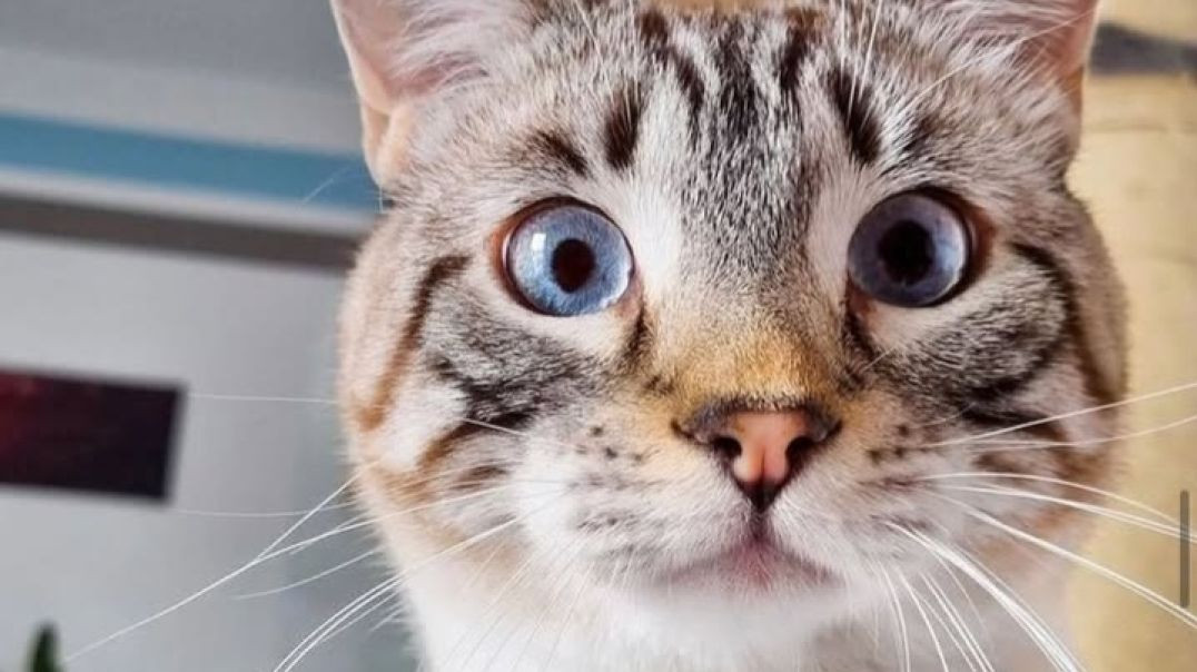 A_hyperrealistic_cinematic_202512042134_gx3w