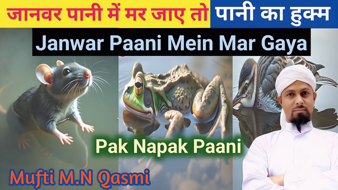 ⁣Agar Pani Mein Mara Hua Janwar Mile To Pani Kab Napaak Hota hai? #paknapak