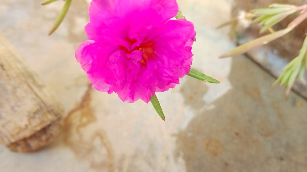 video_20251203_130719