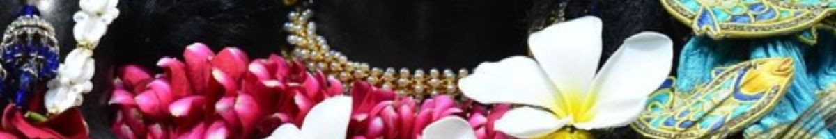 tiger_1234dog tiger_1234dog