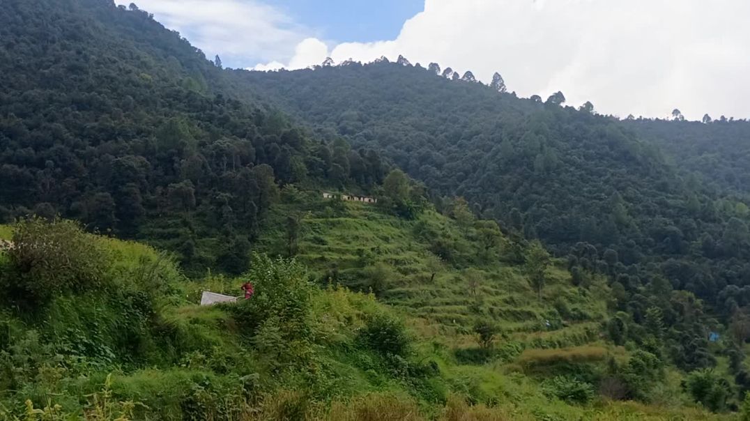 ⁣My village in uttarakhand