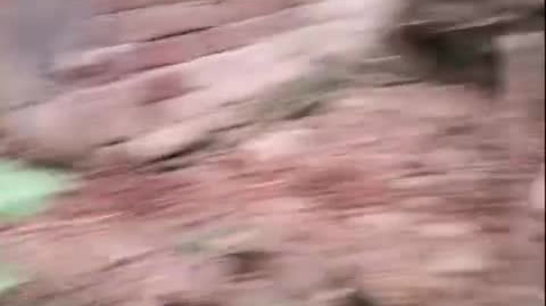 ⁣VID-20251105-WA0000