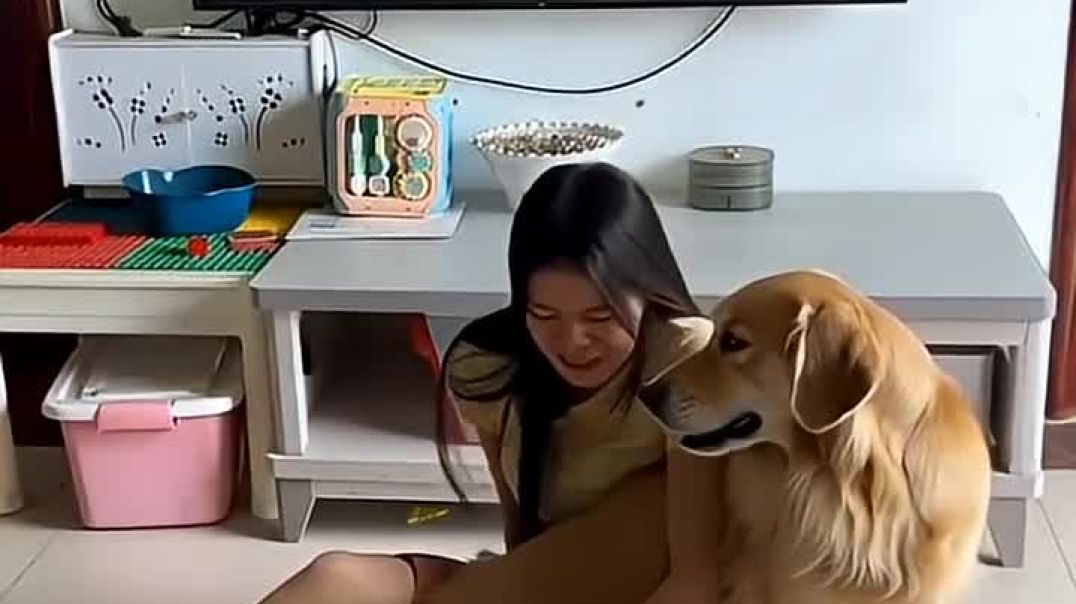 ⁣What’s_Wrong_with_Her_Dog____Dog_Behavior___Health_Explained(720p)