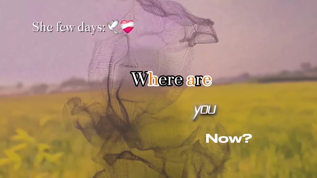 quality_restoration_20251216145632648