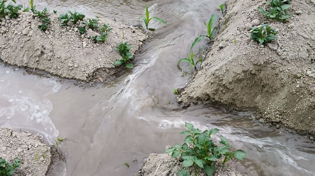 ⁣लड़की_की_तो_मजा_हैं_#viral_#moj_reels_#girl_#moj