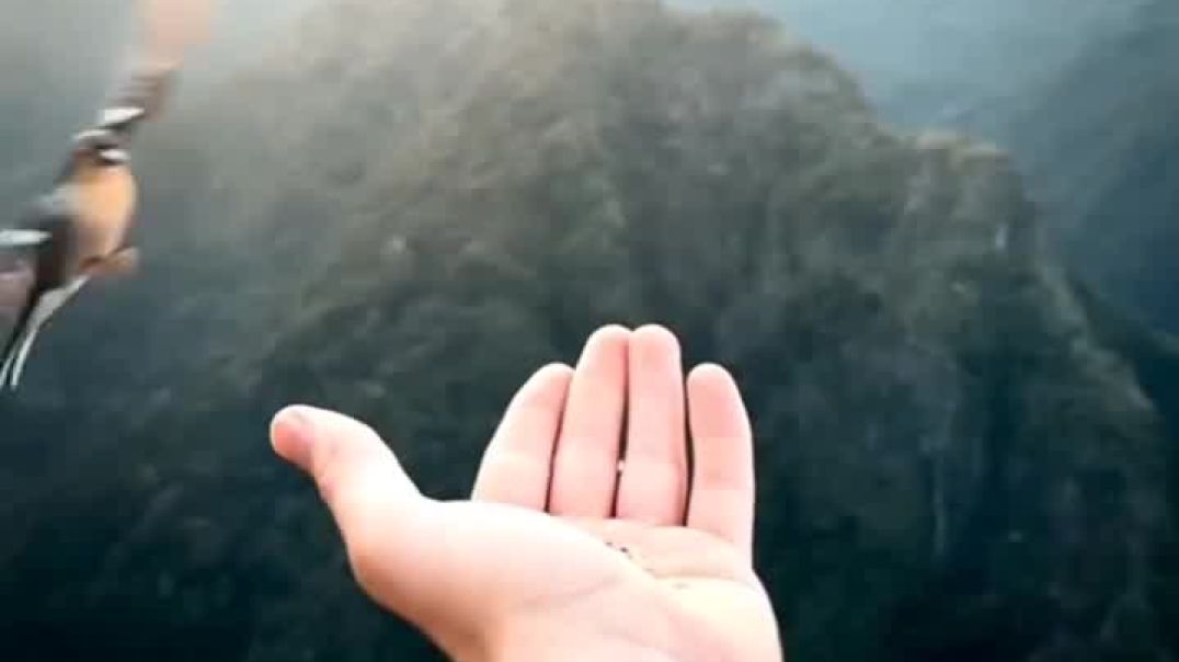 𝑀𝒶𝒽𝒾𝓅𝒶𝓁_𝒮𝒾𝓃𝑔𝒽_𝐿💗𝒹𝒽𝒾(2)