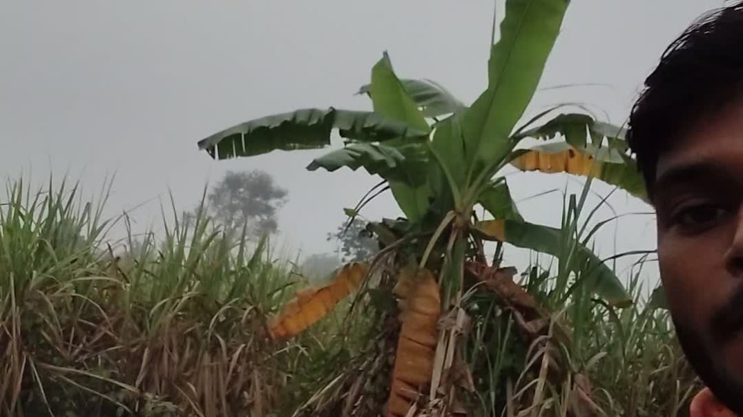 video_20251219_111301