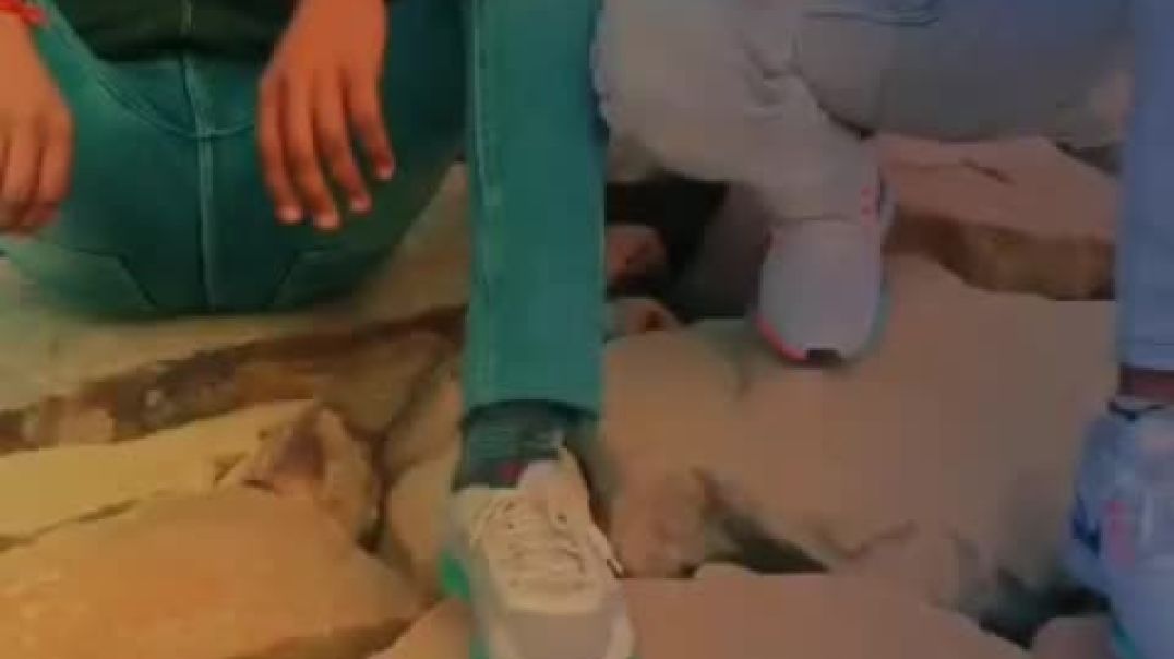 VID_20251120_074510_333