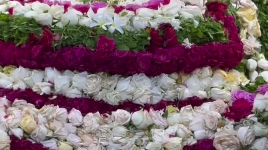 VID_20251110_054653_870