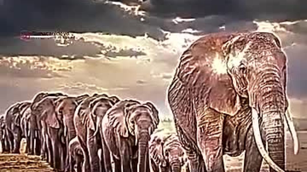 ⁣videoplayback (2)