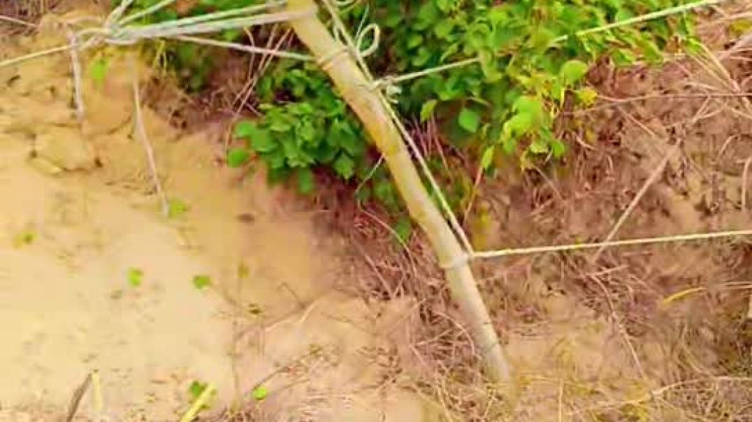 ⁣Snapchat-764350324