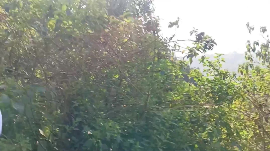 ⁣Parasnath hill vlogs