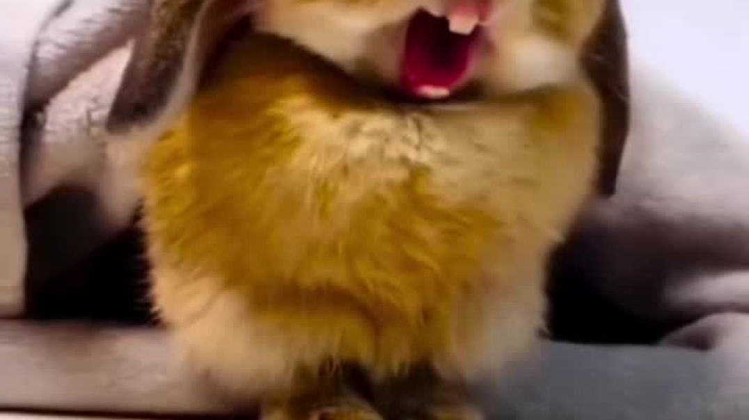 ⁣बिजली बाले😂 Part 2____viral _comedy _reels _explore _funny(MP4)