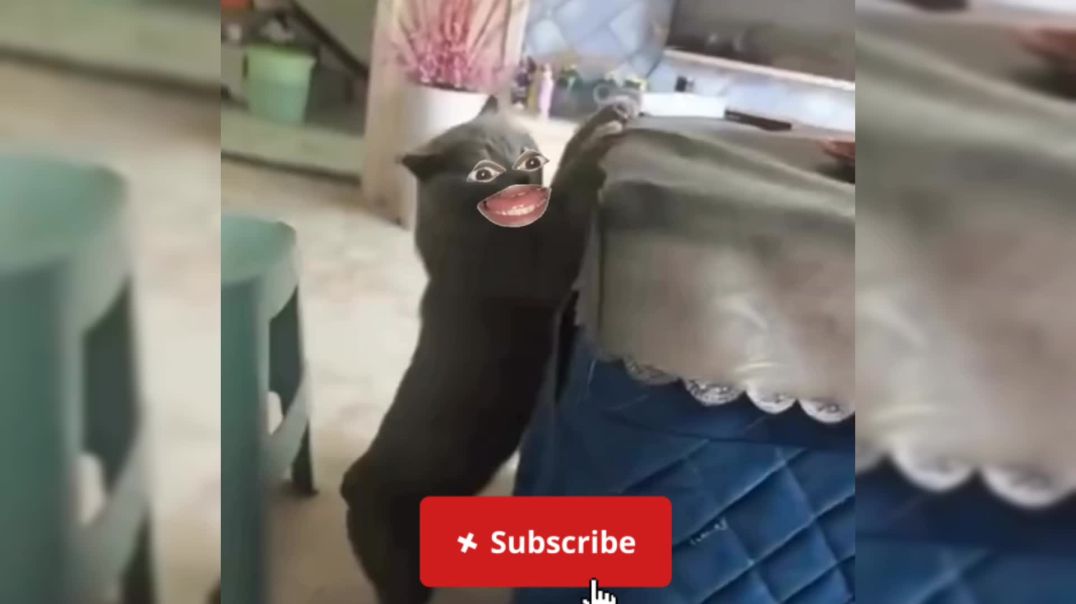 ⁣आज पता चला मेरा खाना कोन खा जाता था 🐱 | #apnatube