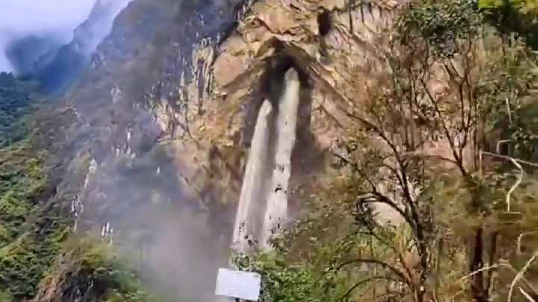 2871285466954334878_51149309510