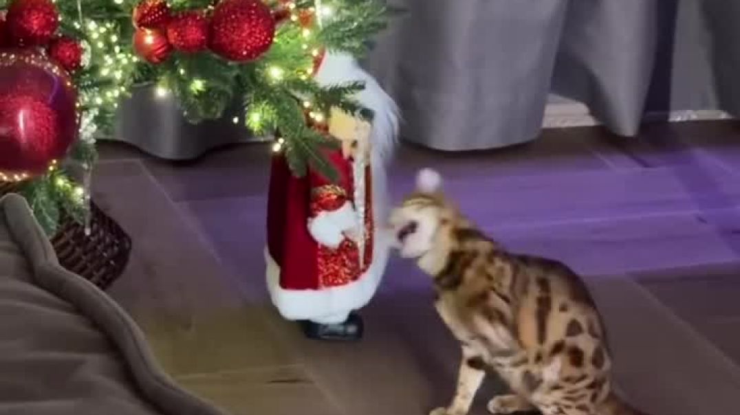 ⁣Marri Christmas 🎄🎁