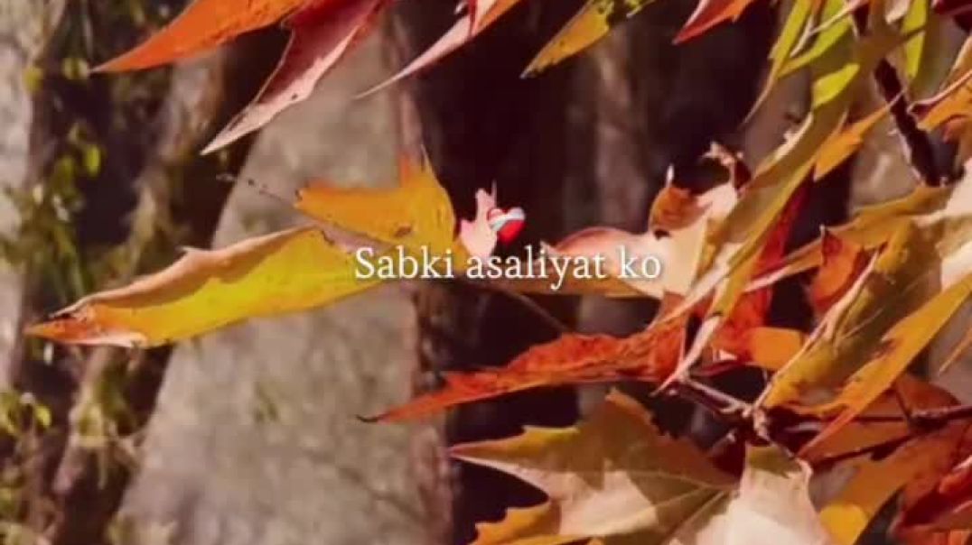 ⁣Old is gold song viral song