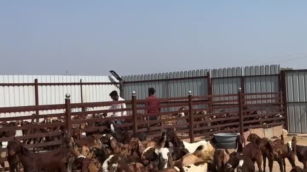 95%E0%A4%B0%E0%A5%80+%E2%80%93+%E0%A4%AE%E0%A5%87%E0%A4%B9%E0%A4%A8%E0%A4%A4+%E0%A4%95%E0%A4%BE+%E0%