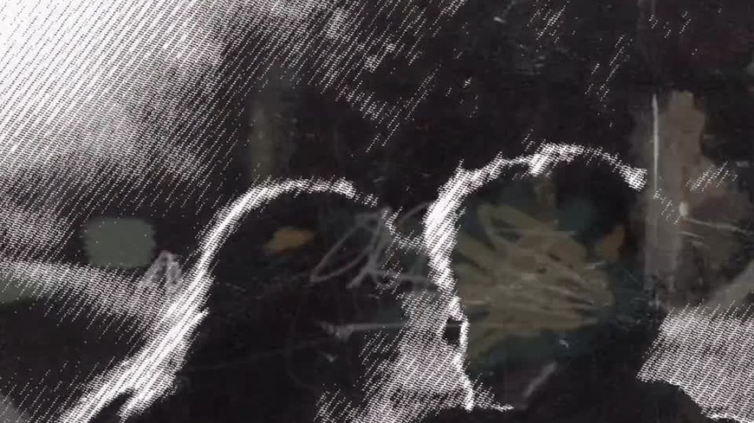 AQNmXQK7hbamU4WMUyRrwDj5ZEHyJA_XT_0NrZ3nt4I6XOob4RjwYNAnxfRhFAAMFzNUEX9cuZ9YsL2EiY6Hb73z1lIq-HCOD1g7