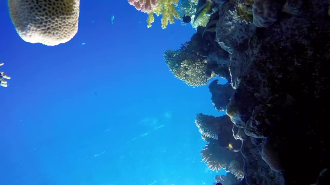 ⁣Amazing facts new technology video