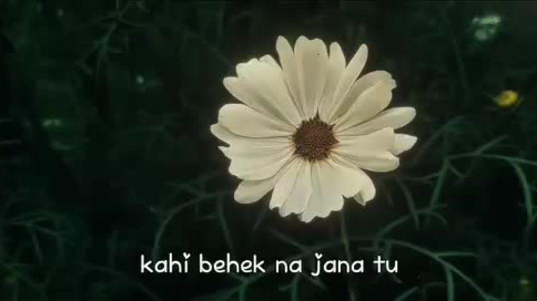 ⁣instagram_story love songs