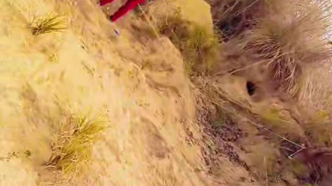 ⁣Snapchat-707687503