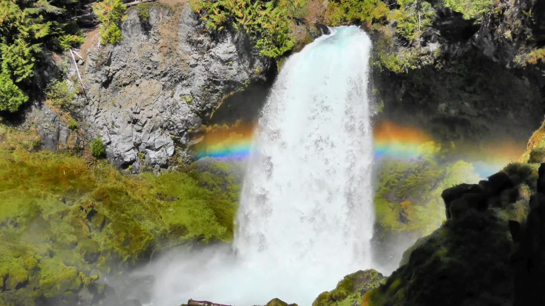 ⁣nature video 🌿#apnatube#nature