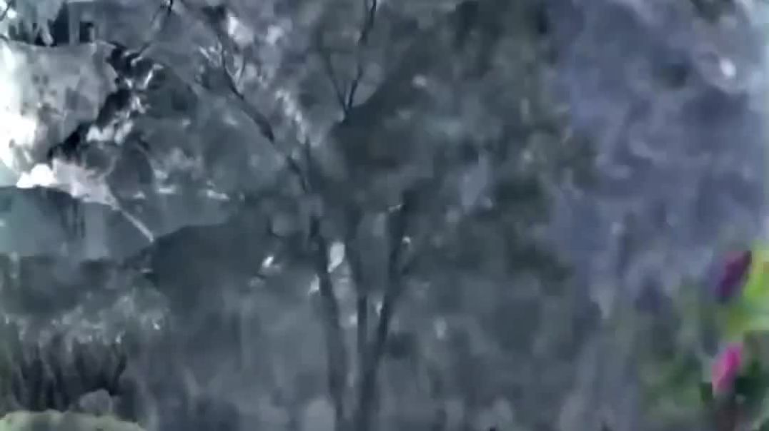 ⁣🔱MAHADEV🔱DRANK🥶_POISON👿🔱MAHADEV🔱_ATTITUDE_STATUS_#mahadev_#lordshiva_#viral_#shorts(1080p)