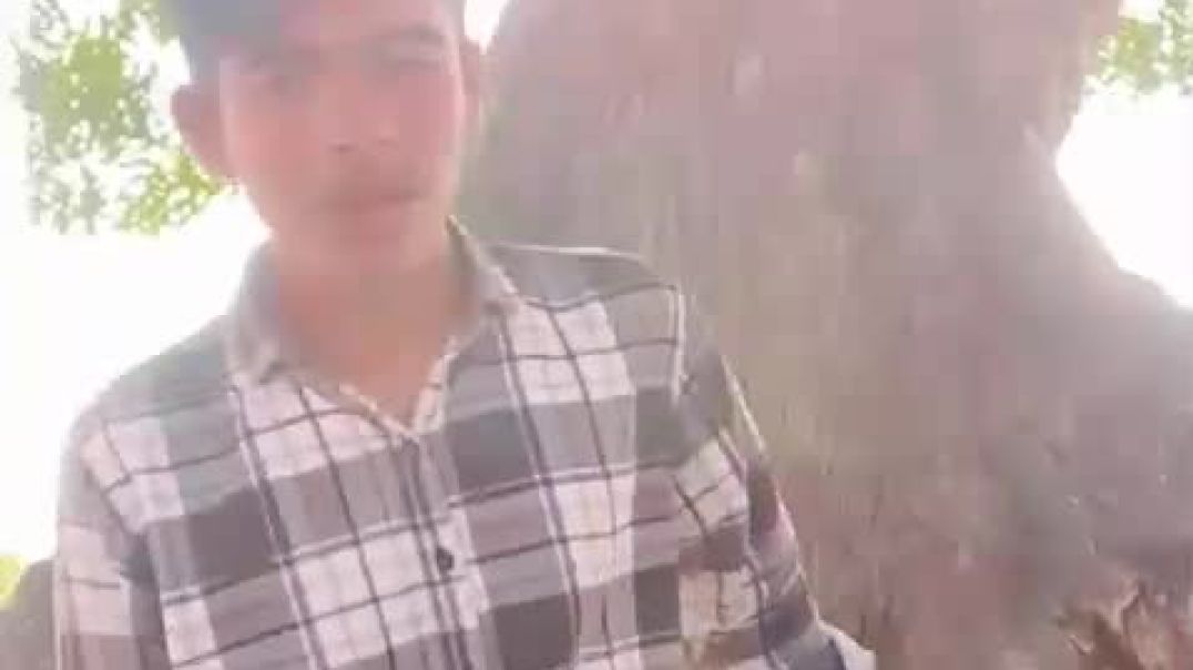 ⁣VID-20251130-WA0011