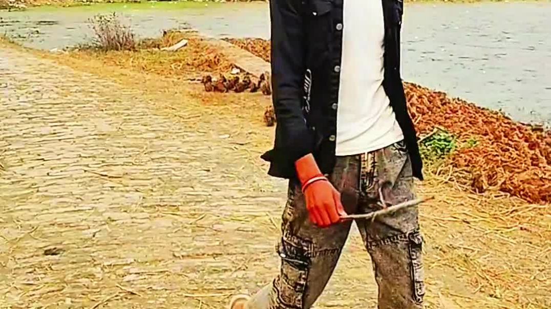 Padna aavt hav 😂😂🤣