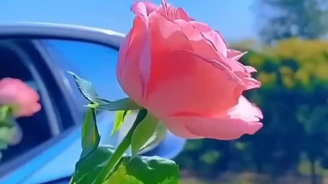 IshanaIsha_004c827360f64d1fa369088108438985