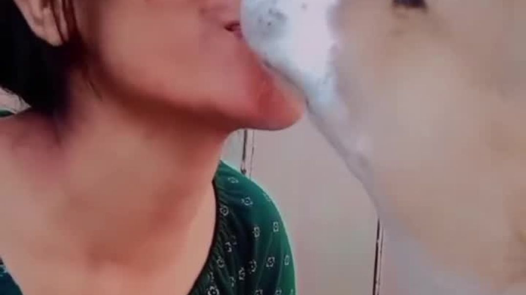 ⁣Funny comedy video 😂😂