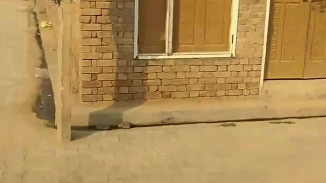 VID_20251026_024758_069