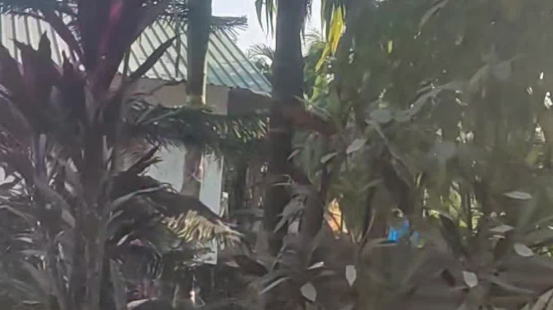 ⁣Bhutan border Piknik blog